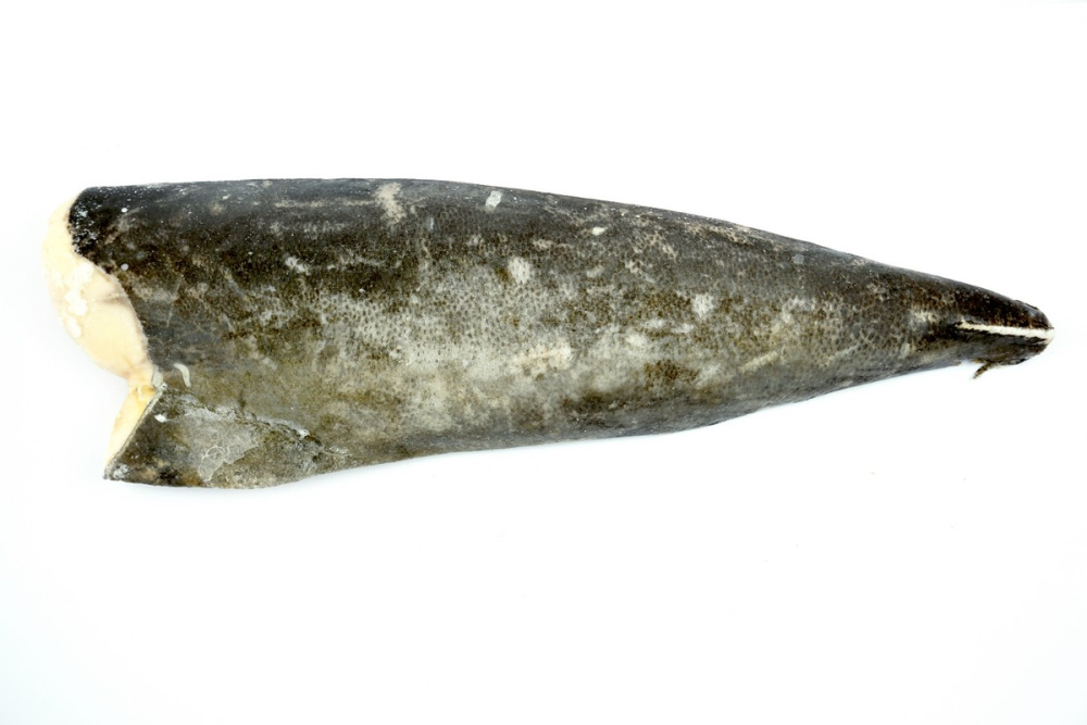 Масляная филе с/м 5/6