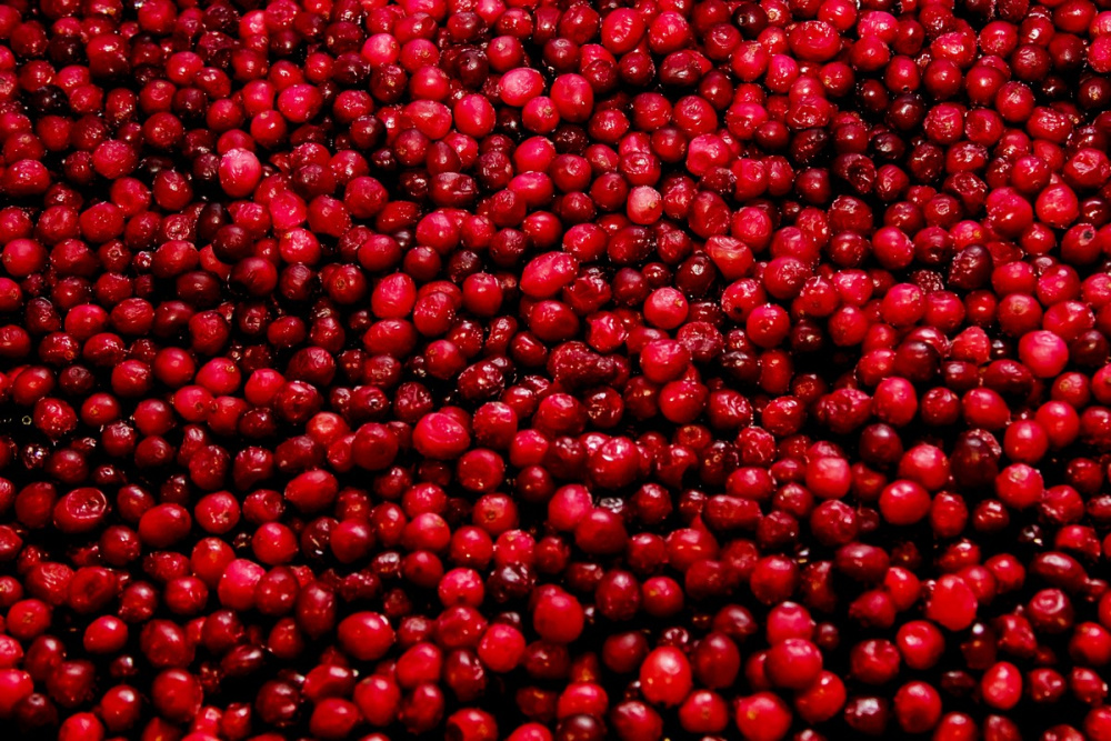 Клюква Садовая с/м 1*10кг вес 