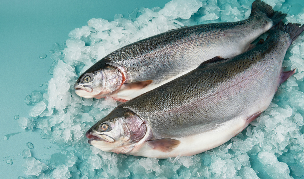 Форель охл.с/г 5/6 Мурманск вес