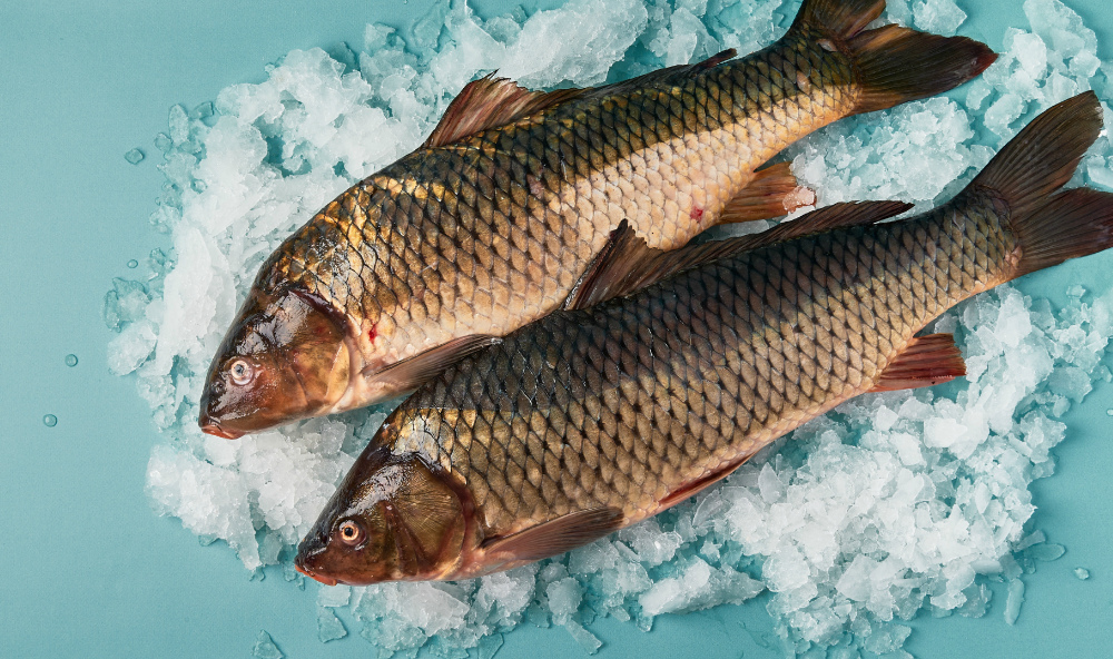 Сазан охл.2+ вес