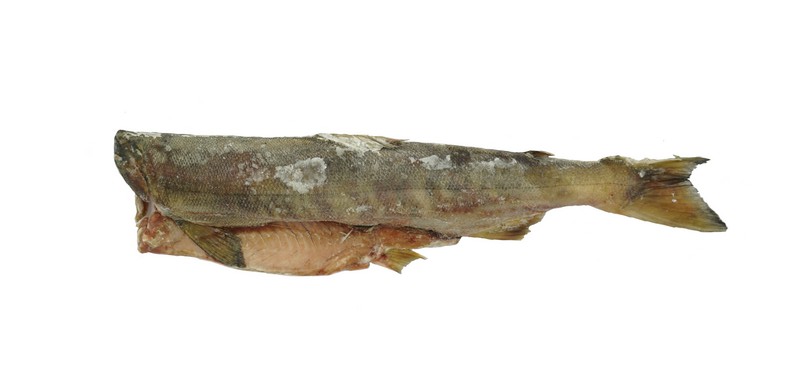 Кета б/г с/м вес