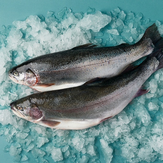 Фото Форель охл.с/г 5/6 Мурманск вес