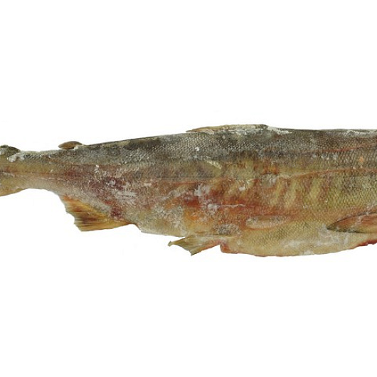 Фото Кета б/г с/м вес