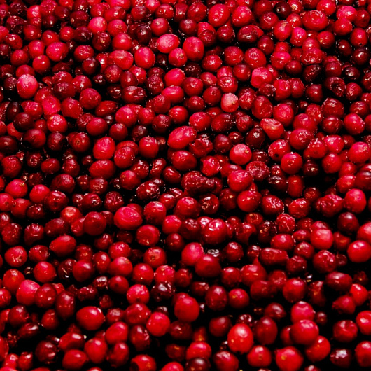 Фото Клюква Садовая с/м 1*10кг вес 