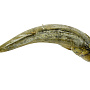 Фото Судак целый с/м вес.