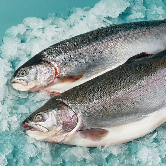 Фото Форель охл.с/г 5/6 Мурманск вес